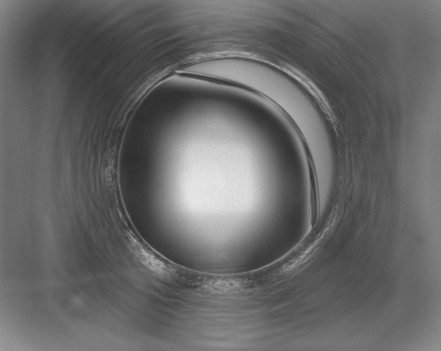X0000082980801200702152356