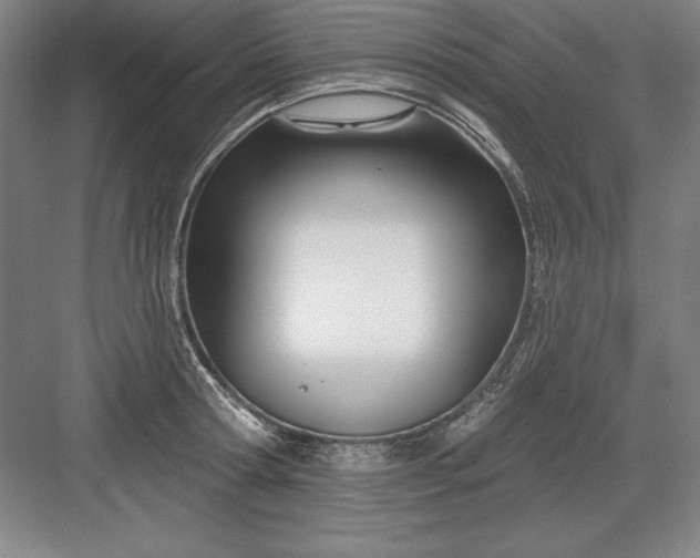 X0000082980802200702152356