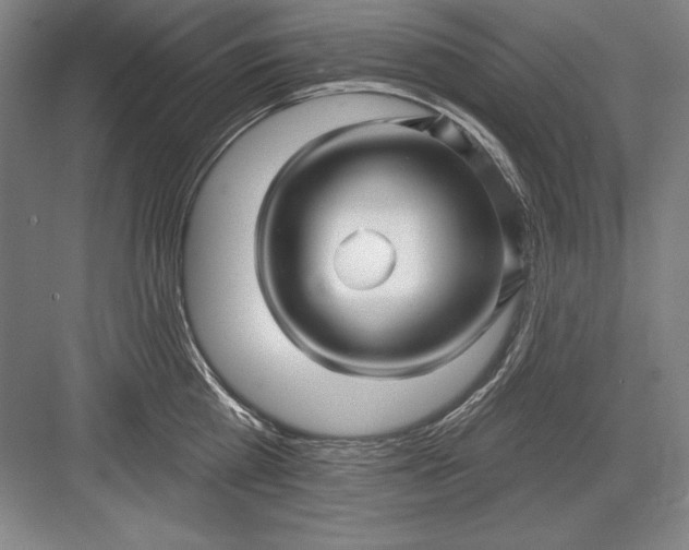 X0000082980809200702152356