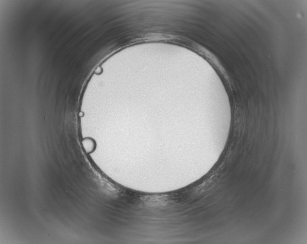 X0000082980810200702152356