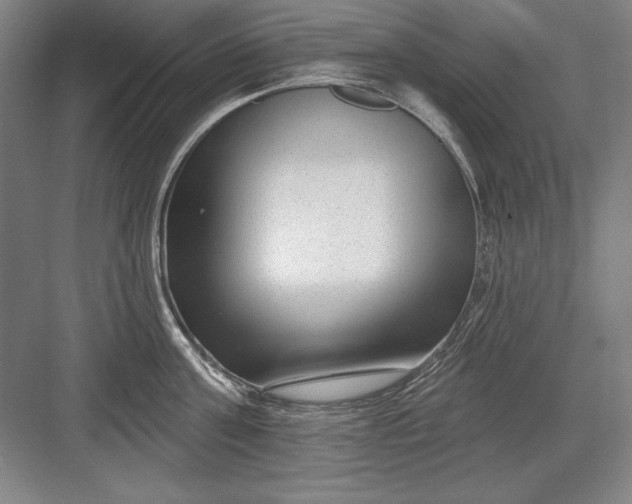 X0000082980811200702152356