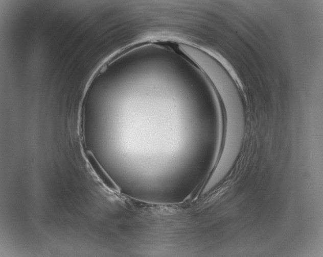 X0000082980815200702152356