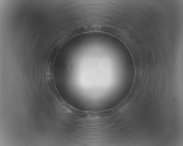 X0000082980818200702152355