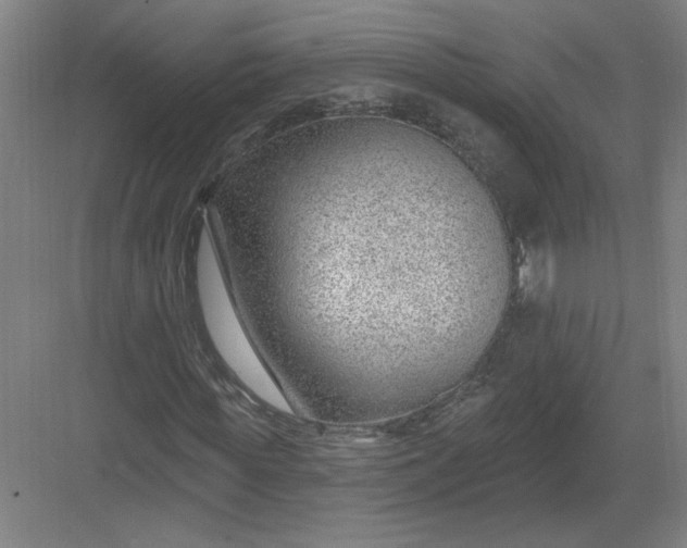 X0000082980819200702152355
