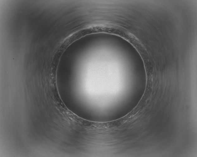 X0000082980822200702152355