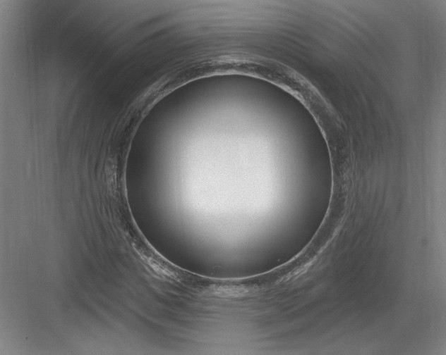 X0000082980825200702152355