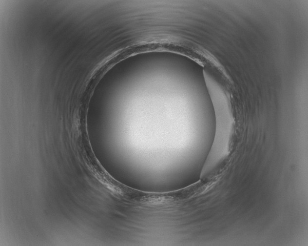 X0000082980826200702152355