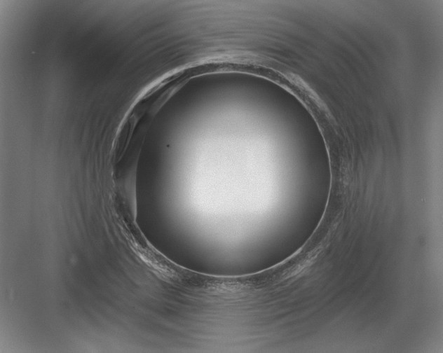 X0000082980830200702152355