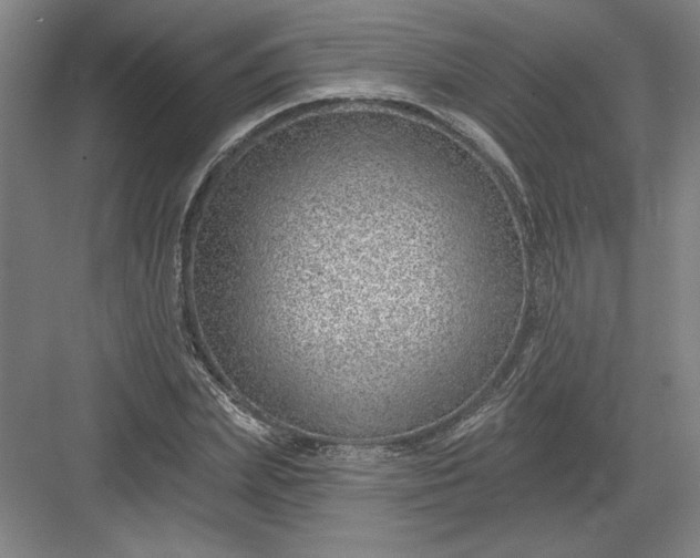 X0000082980831200702152355