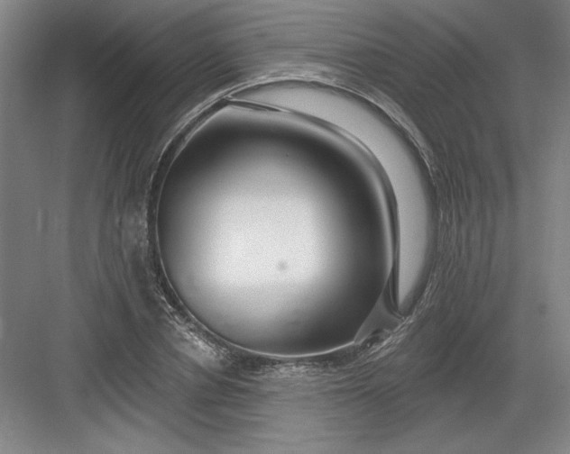 X0000082980834200702152355