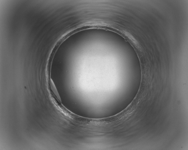 X0000082980840200702152355
