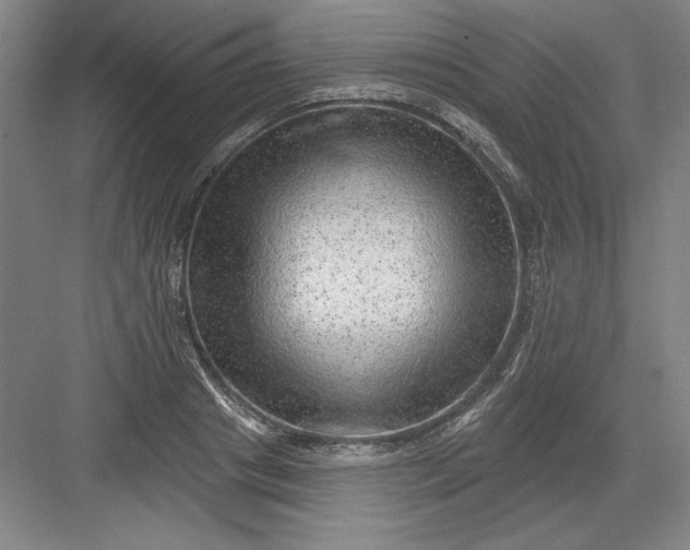 X0000082980841200702152355