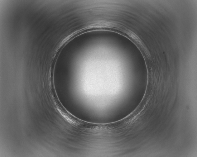 X0000082980842200702152355