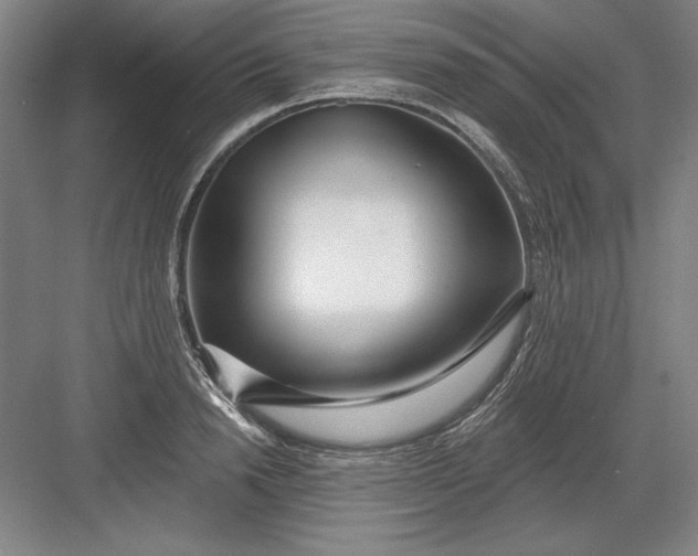 X0000082980846200702152355
