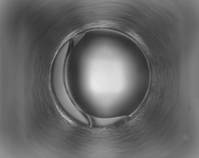 X0000082980850200702152355