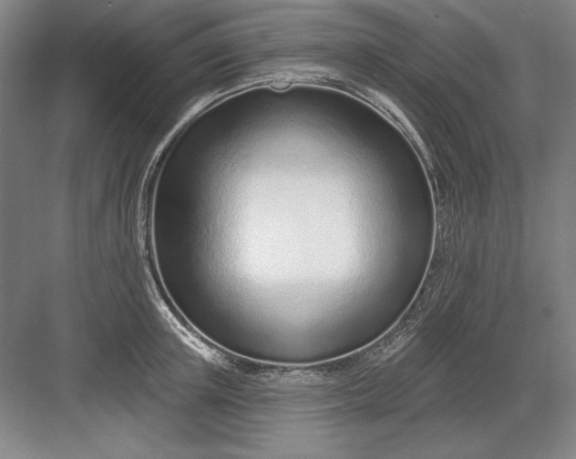 X0000082980851200702152355