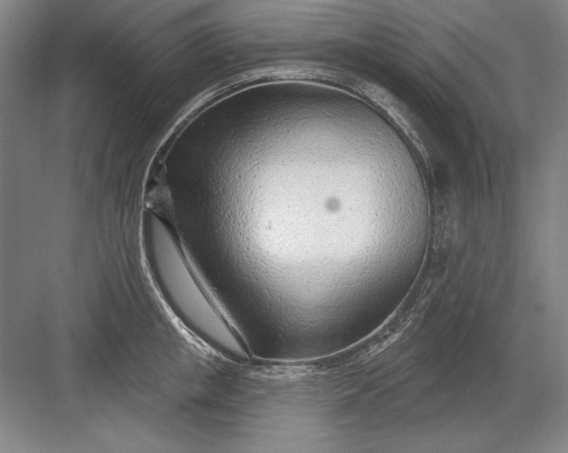 X0000082980853200702152355