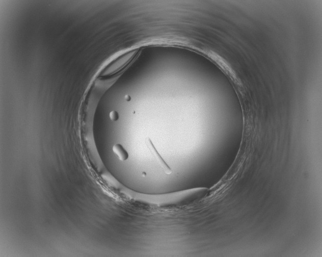 X0000082980854200702152356
