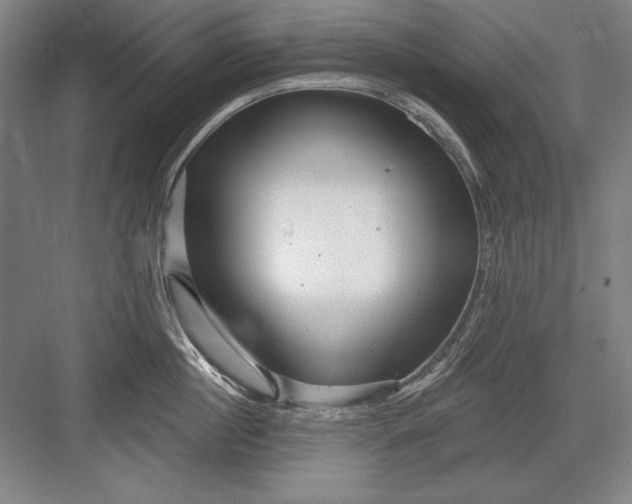X0000082980860200702152356