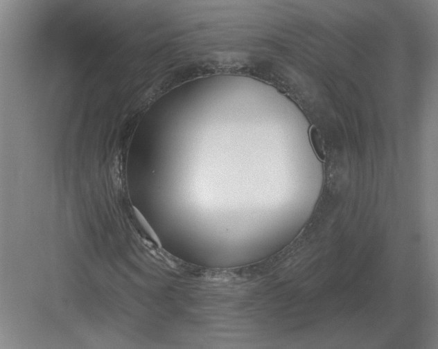 X0000082980866200702152355