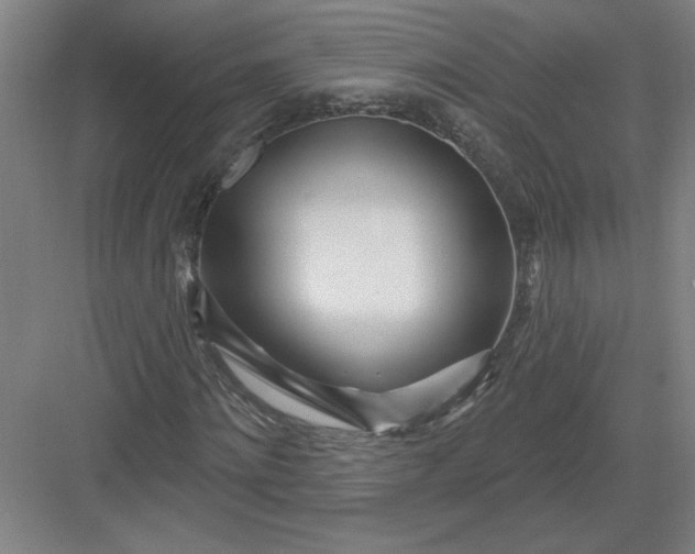 X0000082980868200702152355
