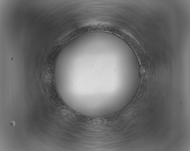 X0000082980869200702152355