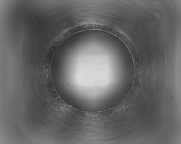 X0000082980870200702152355