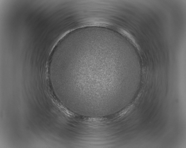 X0000082980875200702152355