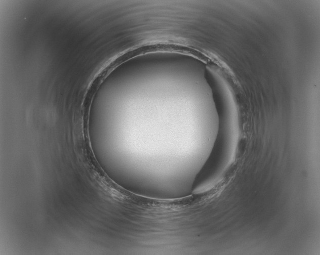 X0000082980877200702152355
