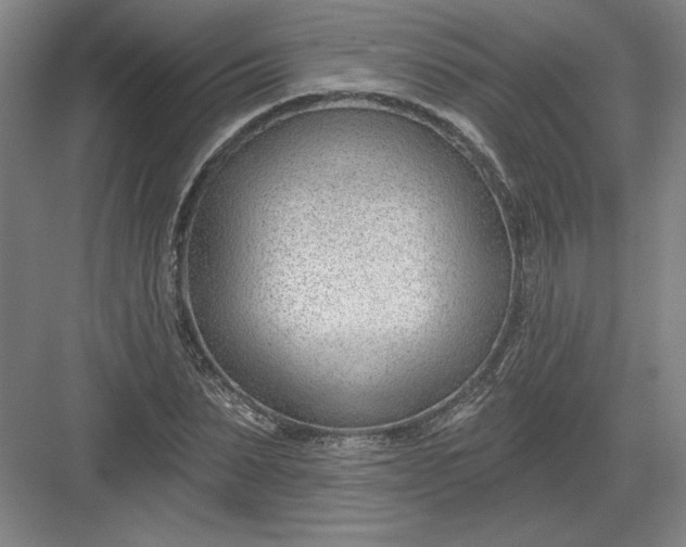 X0000082980879200702152355