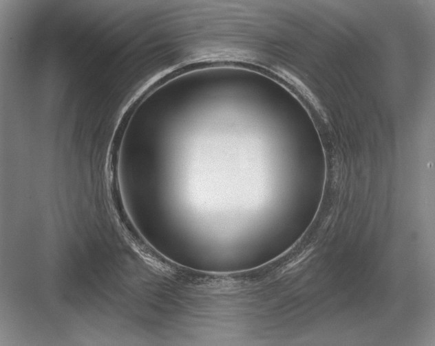 X0000082980885200702152355