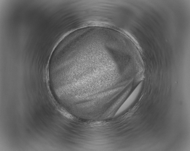 X0000082980891200702152354