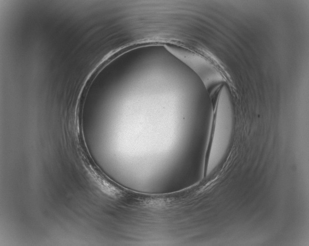 X0000082980892200702152354