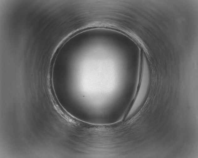 X0000082980896200702152354