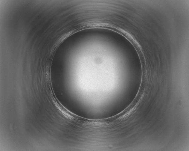 X0000082980897200702152354