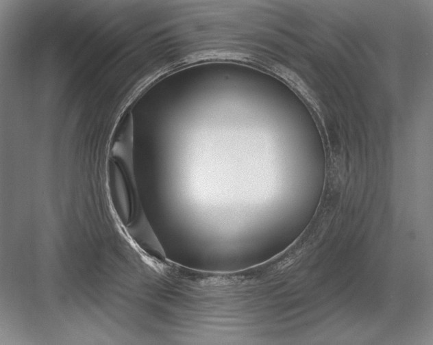 X0000082980898200702152354