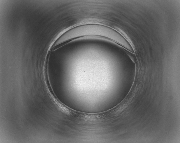 X0000082980901200702152354