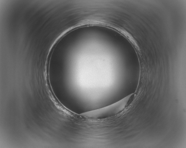 X0000082980904200702152354
