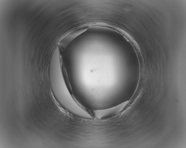 X0000082980905200702152354