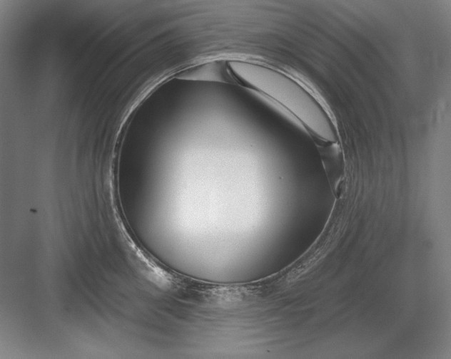 X0000082980906200702152354