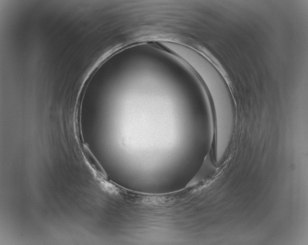 X0000082980909200702152354