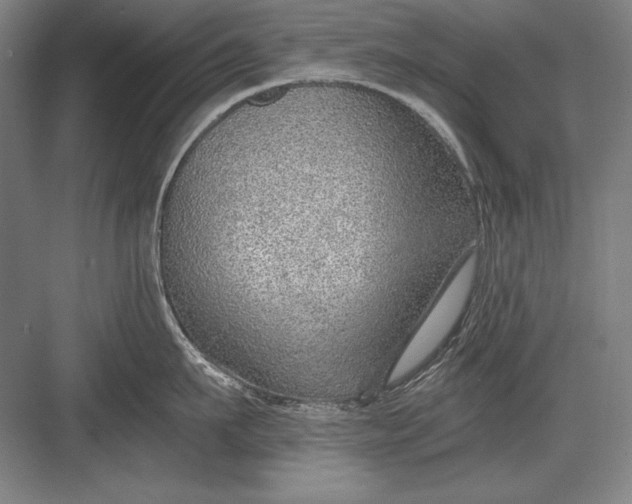 X0000082980911200702152354