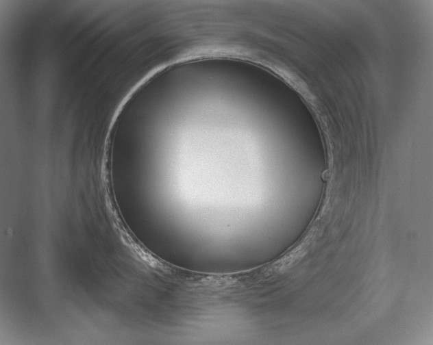 X0000082980912200702152354