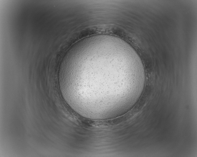 X0000082980913200702152353