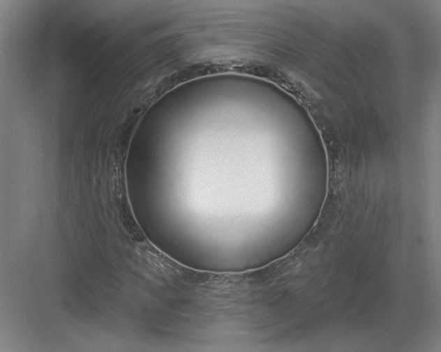 X0000082980917200702152353