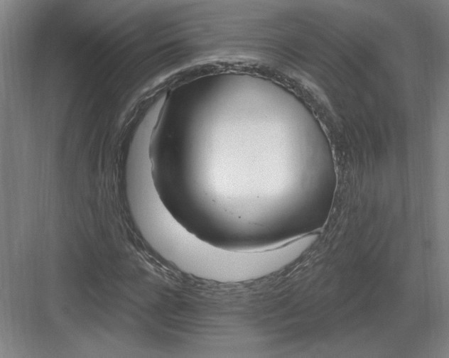 X0000082980920200702152353