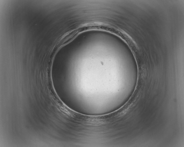 X0000082980921200702152353