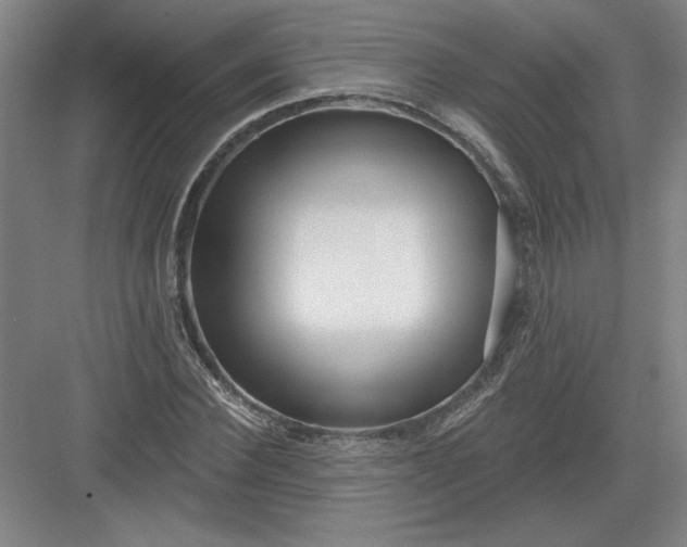 X0000082980924200702152353