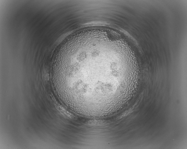 X0000082980929200702152354