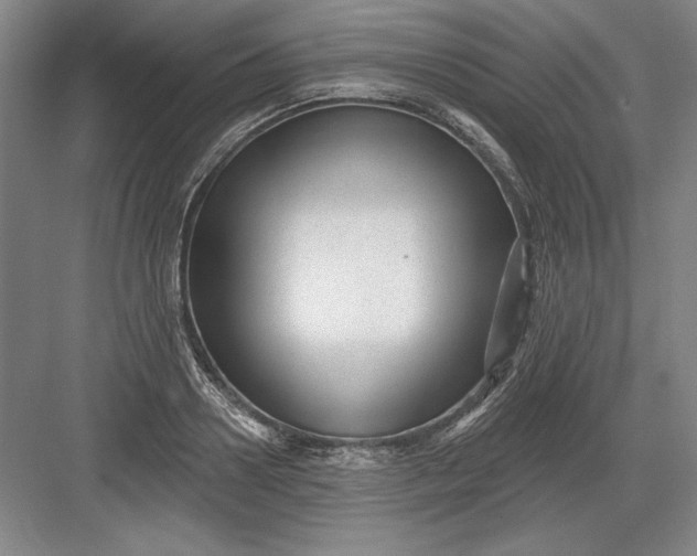 X0000082980938200702152354
